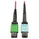 Tripp Lite N846D-05M-16CMG