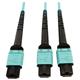 Tripp Lite N846D-05M-24BAQ