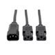 Tripp Lite P004-006-2C13