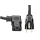 Tripp Lite P006-010-13RA