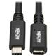 Tripp Lite U421-20N-G2