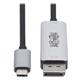 Tripp Lite U444-006-DP8SE