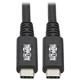 Tripp Lite U520-31N