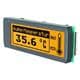 Display Visions EA DIP122-5HNLED
