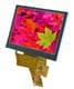 Display Visions EA TFT043-42ATS