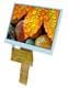 Display Visions EA TFT050-84ANN
