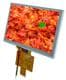 Display Visions EA TFT070-84ATP