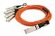 Coherent FCBN510QE2C20