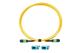 Fluke Networks TRC-SM-VERIFY-MPO16P