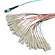PolyPhaser MFO-M24M4-SCR-5