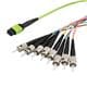 PolyPhaser MFO-M8M5-STR-5