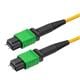 PolyPhaser MFO-MM12SM-BP-10