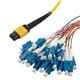 PolyPhaser MPF24SM-09LCR-10