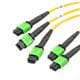 L-Com MPF308212SMR-CA-10