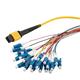 PolyPhaser MPM24SM-09LCR-1