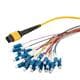 PolyPhaser MPM24SM-09LCR-5