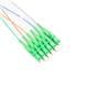PolyPhaser OFPT06DS-LASSM-CE-3