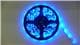 Inspired LED 12V-NB-BLU-01M