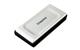 Kingston SXS2000/1000G