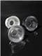 Ledil CP18778_YASMEEN-70-WW-C2-WHT