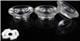 LedLink Optics LL01CR-CEW12L02
