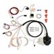 Littelfuse 00251100