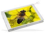 TFT Displays