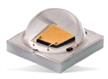 XLamp XP-E2 Torch LEDs