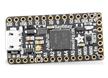 ItsyBitsy M0 Express