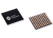MAX77863 Power Management IC