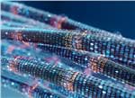 3M Sensor Connectivity