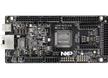 FRDM-MCXE31B Development Board
