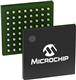 Microchip Technology ZL30107GGG2