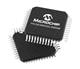 Microchip Technology PIC32CM2532LE00048-E/Y8X