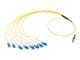 Molex 106292-0901