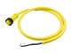 Molex 1300060102