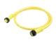 Molex 1300101262