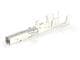 Molex 202988-1241