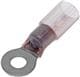 Molex 19164-0889