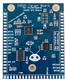 NewAE NAE-CW308T-ESP32