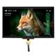 Newhaven Display NHD-10.1-1024600BF-LSXP-CTP
