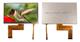 Newhaven Display NHD-7.0-800480EF-ASXN#-T