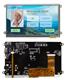 Newhaven Display NHD-7.0CTP-CAPE-V