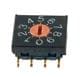 NKK Switches FR02FR10P-S