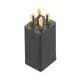 OncQue RBS040110