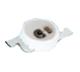 ams OSRAM LA P47F-V2BB-24-3A4B