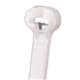 Panduit BT2S-C