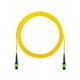 Panduit F9TCN5NNNSNM001