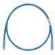 Panduit UTP28SP12BU