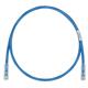 Panduit UTP28SP7BU
